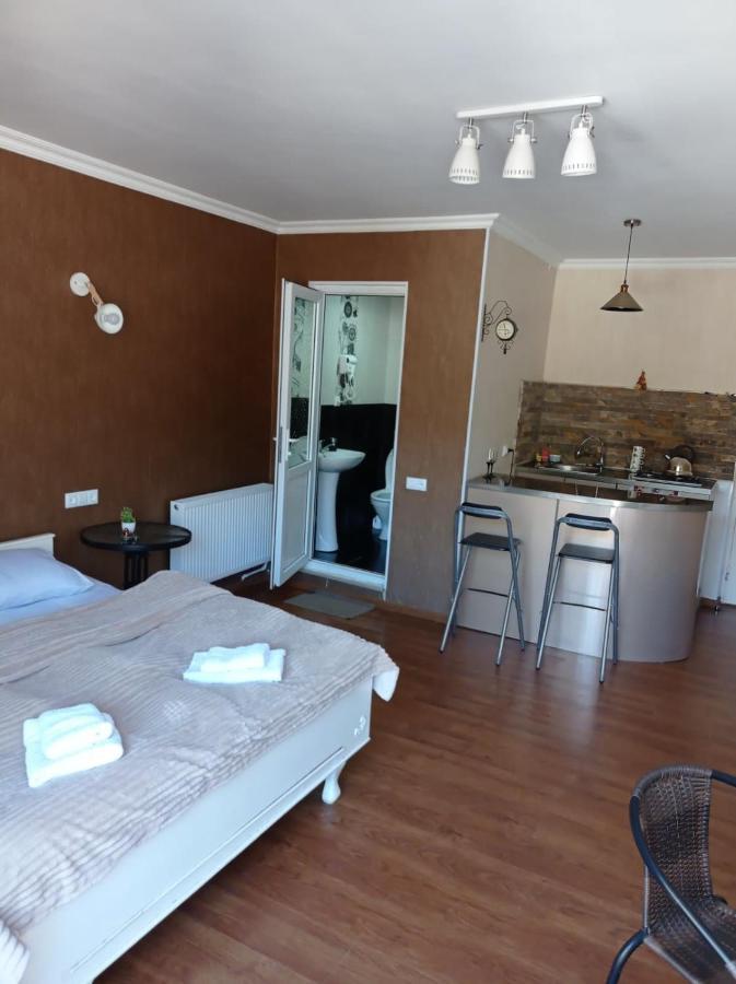 Appartement Tamara à Bordjomi Extérieur photo